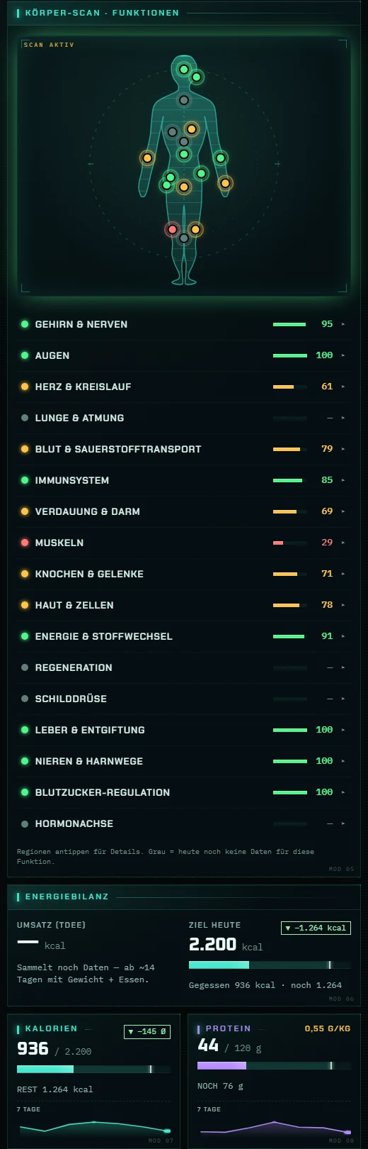 Vital HUD — Körper-Scan mit Funktionswerten und Energiebilanz