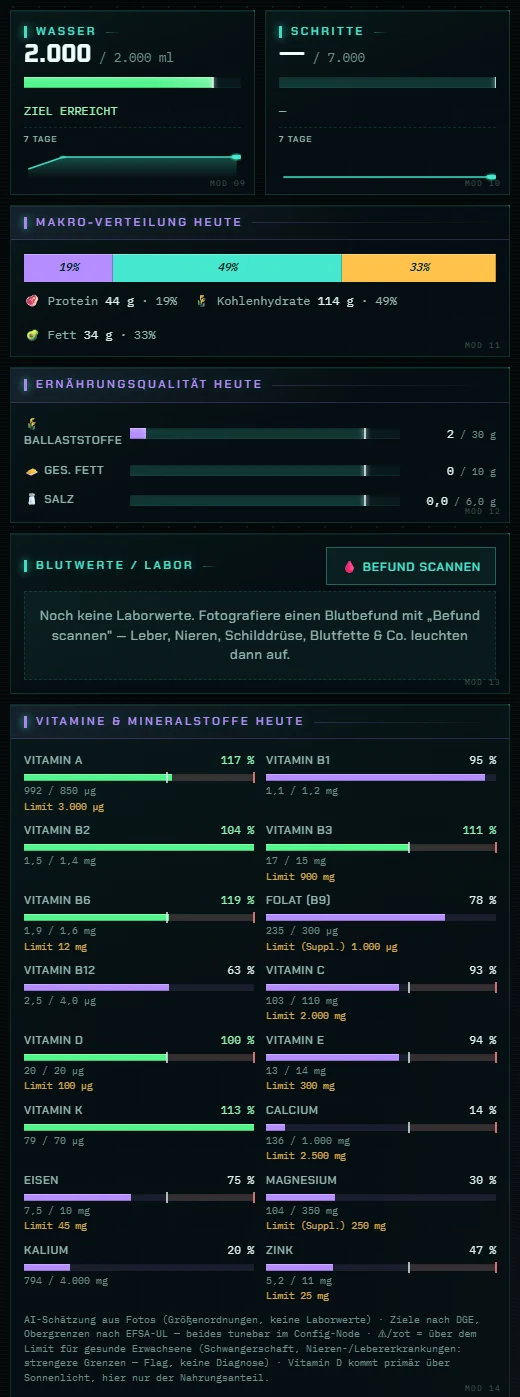 Vital HUD — Tages-Panels, Makros und Ernährungsqualität